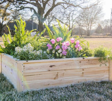  Raised Garden Bed (DDP-1843)