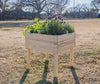 Raised Garden Planter with 4 Way Divider (DDP-1839)