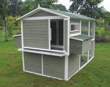  Big Green Chicken Coop (DDP-2317)