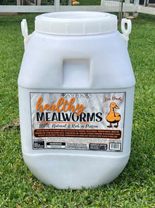  Healthy Mealworms for Ducks 20lb Bucket (ZMW-003)