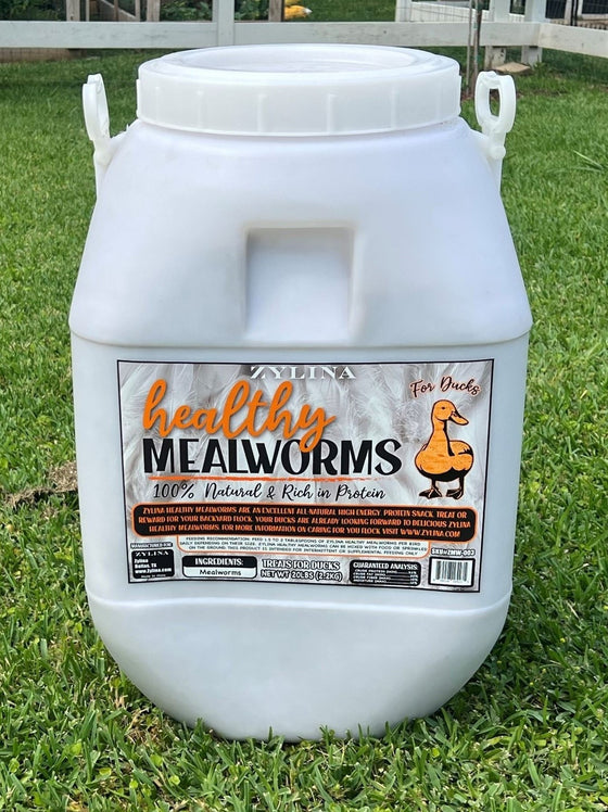 Healthy Mealworms for Ducks 20lb Bucket (ZMW-003)