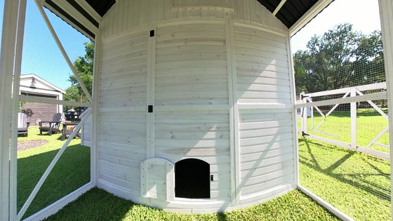 Modern Chicken Barn (DDP-1553PVC)