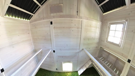 Modern Chicken Barn (DDP-1553PVC)