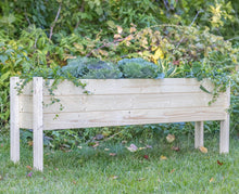  Raised Garden Planter Collection- 60"(L) x 12"(W) x 22"(H) (DDP-2168XXL)