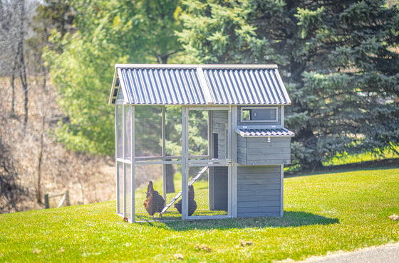 Walk In Hen House with PVC Roof