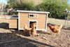 Nesting & Roosting Box with Outer Egg Box